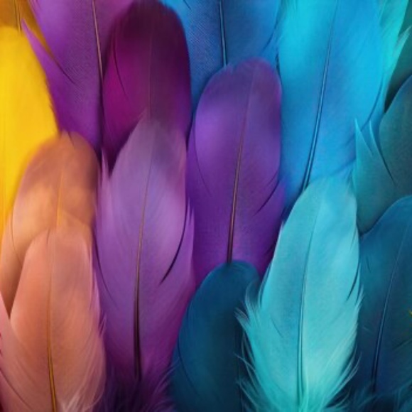 Meet your Posher, Ann - Picture 1 of 1